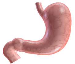 If you are told you have stomach cancer do you know the stage of the cancer? Stomach Cancer Symptoms Prevention University Health News