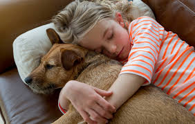 Maybe you would like to learn more about one of these? Pets And Divorce Who Keeps The Family Pet