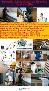 Start with a free quote so we can create the right pest management service plan that fits within your budget and quest termite & pest is proud to be one of three hundred+ companies in the us to have earned the youell's oyster house has chosen quest pest control as our contractor for many years. Exterminator Quotes For Business Three Things To Consider When Choosing A Pest Control Company Dogtrainingobedienceschool Com