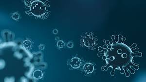 El nombre marburgvirus deriva de marburg (la ciudad en hesse , alemania, donde el virus fue descubierto por primera vez) y el taxonómico virus de sufijo. Kreis Baut Corona Impfzentrum In Marburg Auf Nh24 De