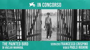 Share your videos with friends, family, and the world. The Painted Bird Di Vaclav Marhoul Youtube