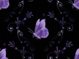 Black And Purple Butterfly Wallpaper Passion Butterfly Flower Purple Butterfly Background Black And Purple Wallpaper Violet Butterfly