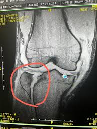 横浜 元町 パーソナルジム - NINE -