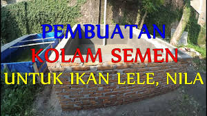 Pembuatan Kolam Semen Untuk Ikan Lele Nila Youtube