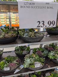 Costco Weekend Deals And New Items Save Money In Winnipeg