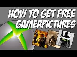 Heights are not scary 5k. Funny Xbox Gamer Pictures Free