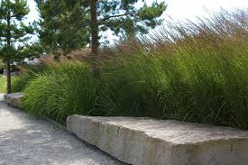 Calamagrostis Karl Foerster And Hemerocallis Love The Stone Bench And Gravel Path Landscape Design Garden Architecture Modern Landscaping