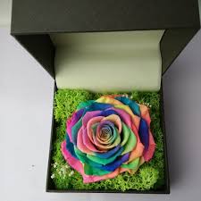 Say i love you with anniversary roses & other wedding anniversary gifts to celebrate! Preserved Rainbow Rose In A Box