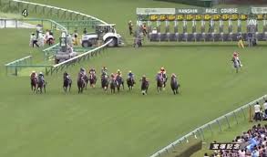 映像外部リンク 2014年 宝塚記念（gi) レース映像 jra公式youtubeチャンネルによる実況動画 第55回宝塚記念（だい55かいたからづかきねん）は、2014年 6月29日に阪神競馬場で行われた競馬のgi 競走。 ゴールドシップ（鞍上：横山典弘）が優勝し、宝塚記念初の連覇を達成した。 Https Xn 6jwp9bq1vcjvlek Com E5 Ae 9d E5 A1 9a E8 A8 98 E5 Bf B52015 E5 9b 9e E9 A1 A7 E3 80 82 E3 82 B4 E3 83 Bc E3 83 Ab E3 83 89 E3 82 B7 E3 83 83 E3 83 97 E3 81 Ae E6 95 97 E5 9b A0 E3 81 Af E3 83 Bb E3 83 Bb E3 83 Bb