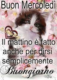 Buon Mercoledi Frase Bella Gatto Nel 2020 Buon Lunedi Buon Mercoledi Buongiorno