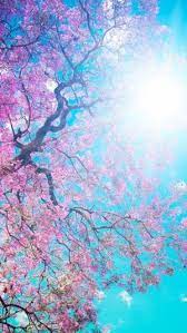 Download 86 Koleksi Wallpaper Hp Samsung J2 Pro Gratis Wallpaper Alam Gambar Alam Lock Screen Wallpaper