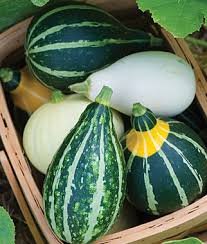 How To Grow Gourds Gardening Tips And Advice Vegetable