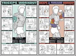 Arm Workout Free Weights Exercises Wall Charts Professional Fitness 2 Poster Set Ebay