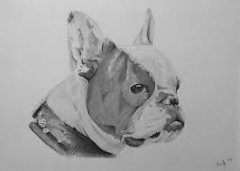 Portraitzeichnung Hund Www Foto Zeichnen De Portrait Zeichnen Lassen Vom Foto Geschenkidee Geschenk Amazing Photooftheday Sw Animal Art Drawings Animals
