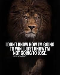 Quotes About Strength Lion Family Quotes In 2020 Inspiring Quotes About Life Lion Quotes Warrior Quotes