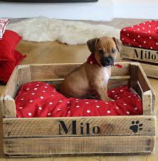 How do you make a homemade dog bed? Purchase Dog Box Bed Up To 63 Off