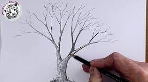 Como Dibujar Desde Cero 1 Como Dibujar Un Arbol Realista Youtube