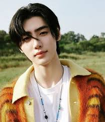 Aiden Wu (aidenwu714)