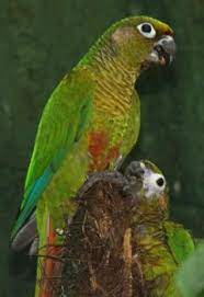8,928 likes · 267 talking about this. Www Zootierliste De