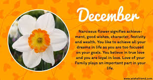 Pin By Alison Shreffler On Random Things About Me December Birth Flower Birth Flowers Birth Month Flowers