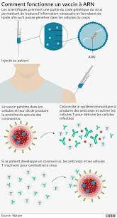 Actuellement et après avoir augmenter la capacité des lits en réa, il y'a 16 personnes, dont 6 covid, mais n'est précisé ni l'âge, ni leurs. Vaccin Contre Le Coronavirus De Pfizer 9 Questions Sur Son Developpement Et Les Defis A Relever Pour Le Faire Approuver Et Distribuer Massivement Bbc News Afrique