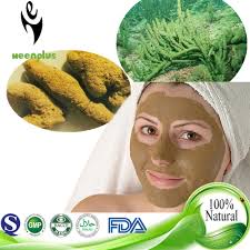 GMP Pure Badyaga Powder,China price supplier