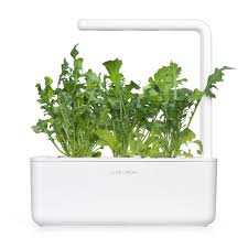 Click and grow offers replacement for their plant pods if your pod fails to germinate a seed within three weeks, or your plants become affected by pests or diseases. Arugula 3 Pack Plant Pods For Smart Garden Grow Store
