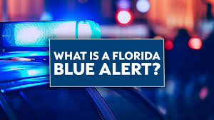 Blue alert (also code blue or condition blue) was an alert signal status on starfleet vessels and outposts which was called for in exceptional situations, including, but not limited to, environmental hazards to the crew, main power failure, docking and separation maneuvers, and landing protocols. What Is A Florida Blue Alert