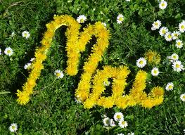 Wünsche sensor, der feiertage erkennt. Schonen Ersten Mai Campingplatz Hessisches Neckartal