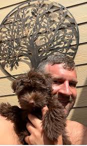 Calvin Tyler Bailey Obituary (2023)