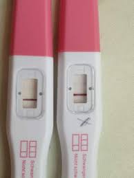 Bevor sie den schwangerschaftstest ultra frühtest digital verwenden, um die hormonkonzentration in ihrer probe nicht zu verdünnen. Presense Dm Fruhtest Leichte Linie Schwangerschaft Schwangerschaftstest