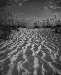 6 Tips For Creating Leading Lines To Make Your Photos Stand Out More Line Photography Framing Photography Composition Photography