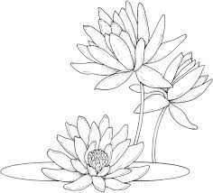 Make a fun coloring book out of family photos wi. Water Lilies Coloring Page Free Printable Coloring Pages Lilies Drawing Lotus Drawing Water Lily Drawing