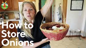 There is a lot of good information about curing them online too, i am not the best expert out there on it. How To Store Onions For Long Term Youtube