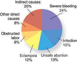 Erythrocyte Sedimentation Rate Definition Of Erythrocyte Sedimentation Rate By Medical Dictionary Learn which conditions your sedimentation rate helps your doctor diagnose. erythrocyte sedimentation rate