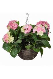 What kind of plants can you plant in a window box? Artificial Hanging Baskets Artificial Plants Shop
