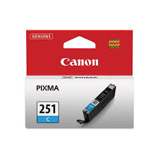Canon Cli-251 Black & Colour Ink Cartridges Value Pack (6513B009) |  Staples.Ca