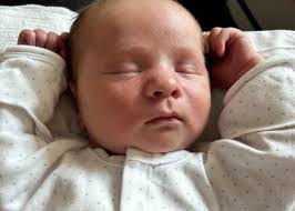 Successful Adoptions: Photolisting