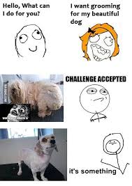 Image Result For Grooming Humor Dog Grooming Grooming Humor