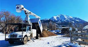 Oconomowoc, hartland, nashotah, chenequa, pewaukee, watertown, sullivan, ixonia, delafield, summit, brookfield, north lake, sussex. Aspen Tree Service Inc Home Facebook
