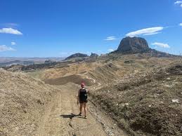 Image result for Sutera debilis