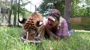 Joe exotic, the subject of netflix's smash hit docuseries tiger king, will be played by nicolas cage in an upcoming scripted series on cbs. Tiger King Murder Mayhem And Madness Netflix Official Site