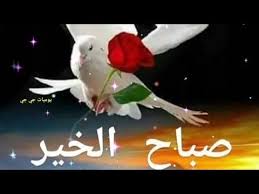 صباح التفاؤل والثقة بالله أجمل حالات واتس صباحية قصيرة صباح الورد مقاطع انستغرام استوريات youtube novelty christmas christmas ornaments holiday decor