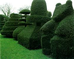 Topiary – Wikipedia, wolna encyklopedia