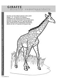 Select from 35970 printable coloring pages of cartoons, animals, nature, bible and many more. Coloring Page Giraffe Free Printable Coloring Pages Img 2948