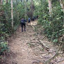 The ulu bendul trail is a little longer and has one fairly steep section (botak hill), otherwise both are standard jungle trails of average steepness. Thick Forest Picture Of Gunung Angsi Seremban Tripadvisor