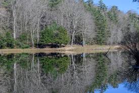 Check spelling or type a new query. Little Beaver State Park A West Virginia State Park Located Near Beckley Oak Hill And Blacksburg