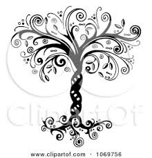 Black And White Tree Images Clip Art Free Printable Black Art In Black And White Royalty Free Illustration By Loopyland 106975 Tree Of Life Tattoo Family Tree Tattoo Tree Tattoo