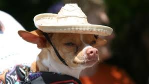 Y también para comer fuera y compartir. 10 Best Places To Celebrate Cinco De Mayo