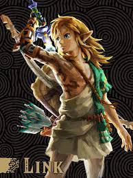 Zelda Universe on X: Important question for everyone: …Is Link hot? 🔥  t.coFDrOiSVRgU  X
